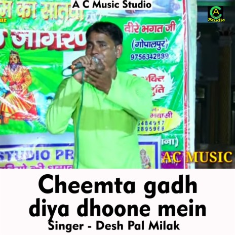 Cheemta Gadh Diya Dhoone Mein (Hindi Song) | Boomplay Music