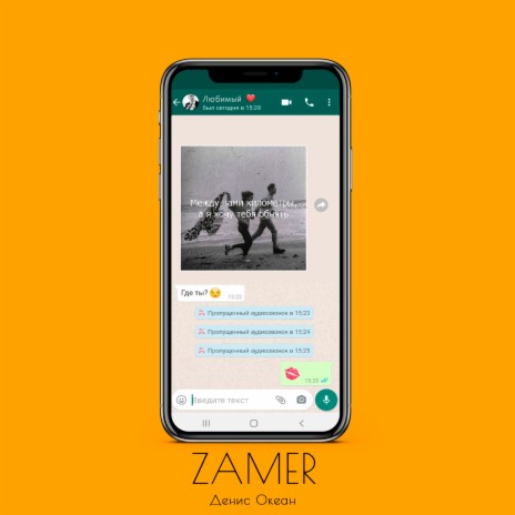 ZAMER | Boomplay Music