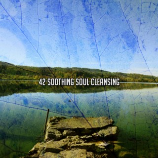 42 Soothing Soul Cleansing