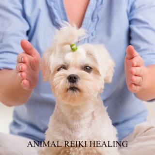 Animal Reiki Healing: Calming Therapy Meditation Music