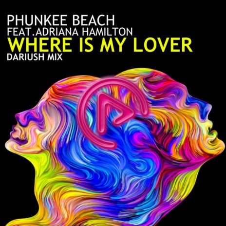 Where Is My Lover (Dariush Remix) ft. Adriana Hamilton | Boomplay Music