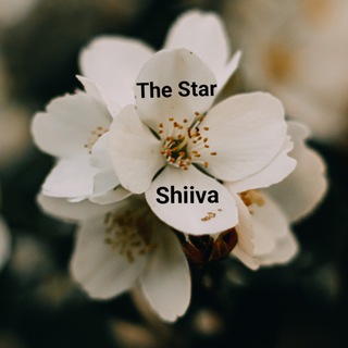 Shiiva