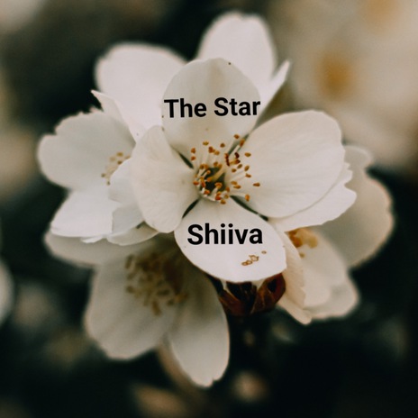 Shiiva | Boomplay Music