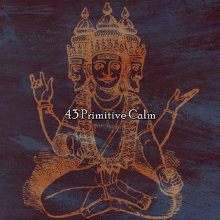 43 Primitive Calm