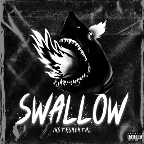 Swallow | Boomplay Music