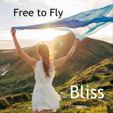 Free to Fly | Boomplay Music