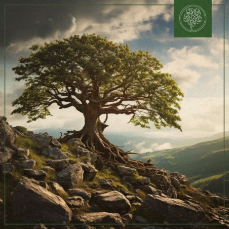 Solemn ft. Beats for Trees | Boomplay Music