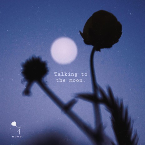 talking to the moon.