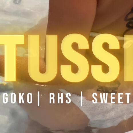 TUSSI ft. GOKO | Boomplay Music