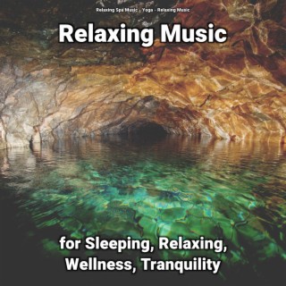 Relaxing Music for Sleeping, Relaxing, Wellness, Tranquility