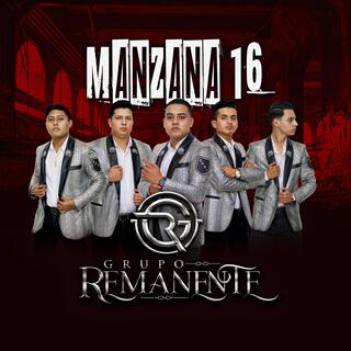 Manzana 16