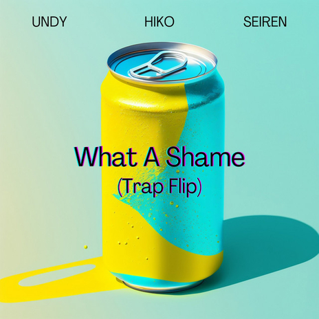 What a Shame (Trap Flip) ft. undy & Seiren | Boomplay Music