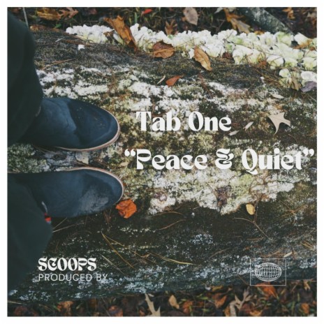 Peace & Quiet ft. Scoops | Boomplay Music