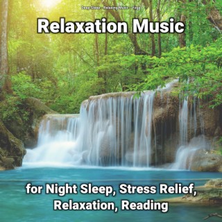 Relaxation Music for Night Sleep, Stress Relief, Relaxation, Reading