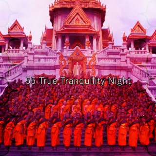 55 True Tranquility Night