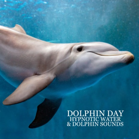 Dolphins Under the Sea | Boomplay Music