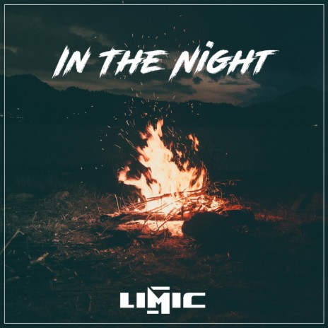 In the Night | Boomplay Music