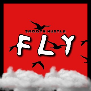 FLY