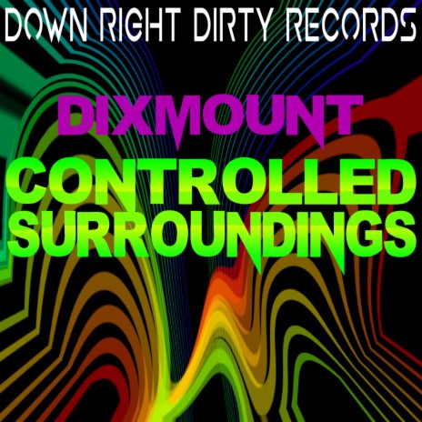 Controlled Surroundings (Original Mix)