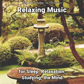 Relaxing Music for Sleep, Relaxation, Studying, the Mind