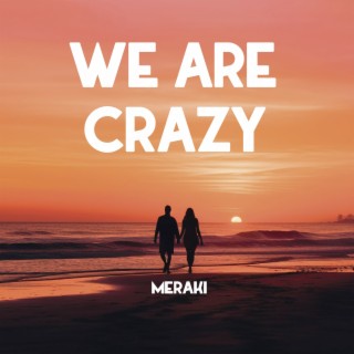 We Are Crazy