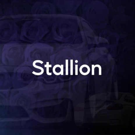 STALLION | Boomplay Music