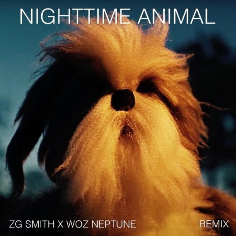 Nighttime Animal (Extended Remix) ft. ZG Smith | Boomplay Music