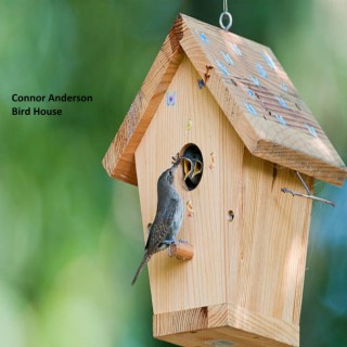 Bird House