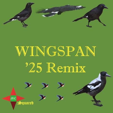 Wingspan ('25 Remix) | Boomplay Music