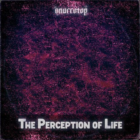 The Perception of Life | Boomplay Music