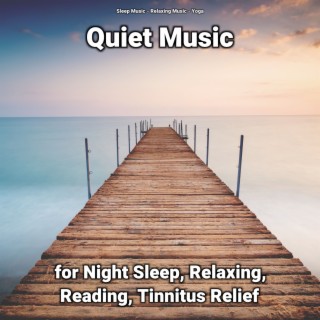 Quiet Music for Night Sleep, Relaxing, Reading, Tinnitus Relief