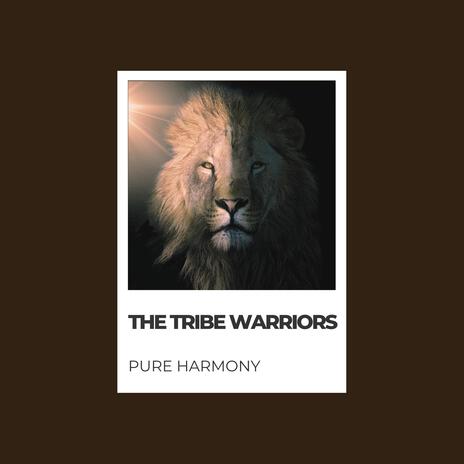 Pure Harmony | Boomplay Music