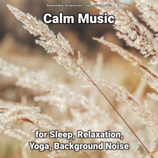 Calm Music for Sleep, Relaxation, Yoga, Background Noise