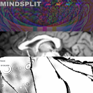 Mindsplit