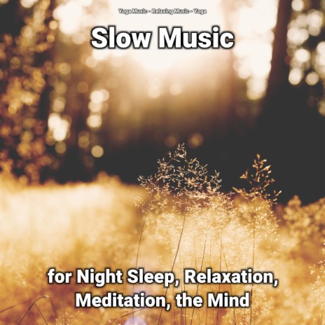 Soft Healing Music for Everyone ft. Yoga & Relaxing Music | Boomplay Music