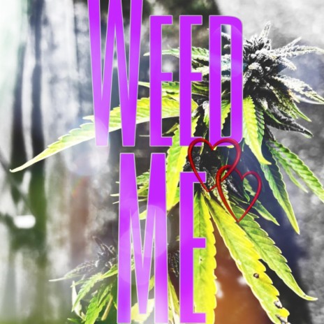 Weed Me | Boomplay Music