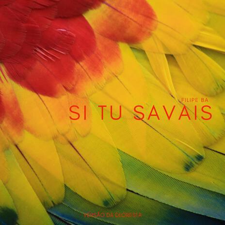 SI TU SAVAIS (slowed + reverb) | Boomplay Music