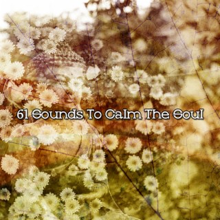 61 Sounds To Calm The Soul