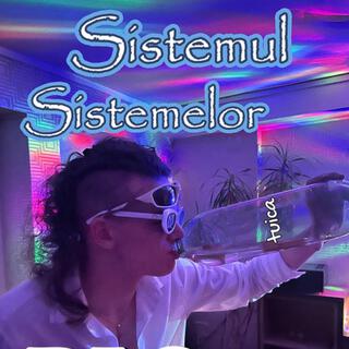 Sistemul Sistemelor