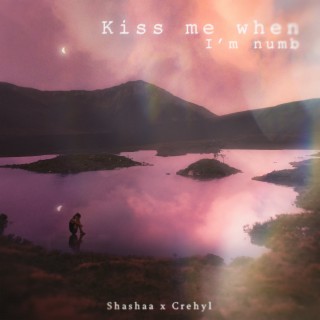 Kiss Me When I'm Numb ft. Crehyl lyrics | Boomplay Music