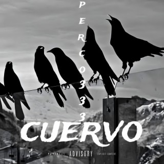 Cuervo