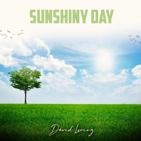 Sunshiny Day | Boomplay Music