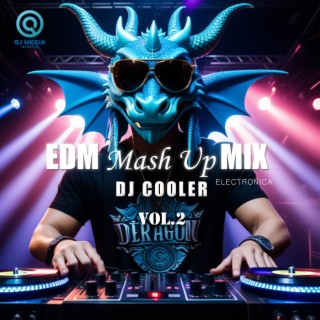 EDM Mash Up Mix, Vol. 2