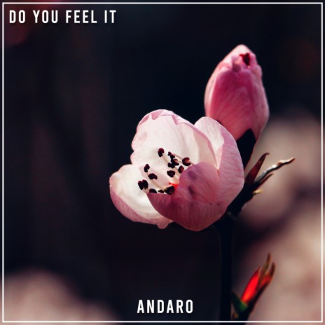 Do You Feel It (Extended Mix)