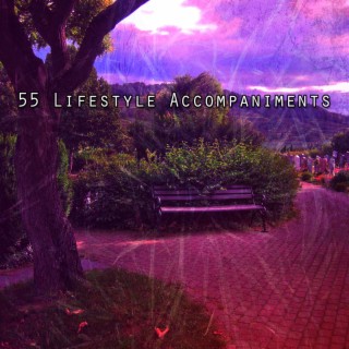 55 Lifestyle Accompaniments