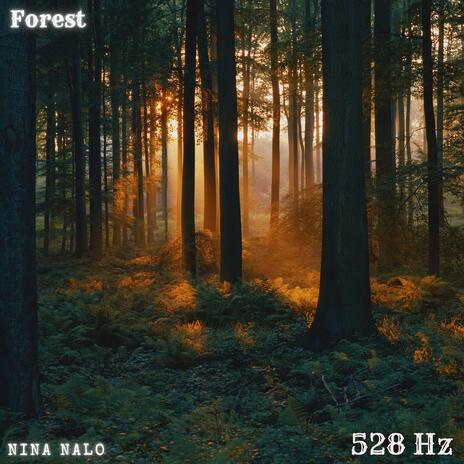 Forest 528 Hz ft. Sensory Meditation, Alma Lin, Flame Timo & Jasper Whisper | Boomplay Music