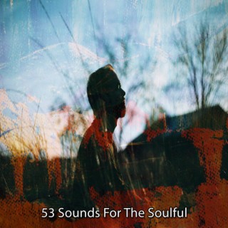 53 Sounds For The Soulful