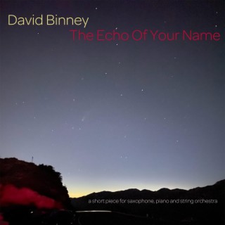 The Echo Of Your Name