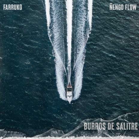 Burros de Salitre ft. Ñengo Flow | Boomplay Music