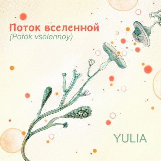 Potok vselennoy («Поток вселенной»)